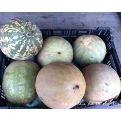 A. melon à confiture 5 kg