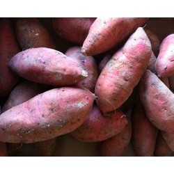 Patate douce 1kg