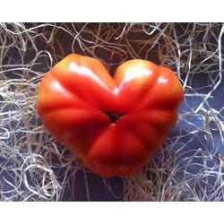 A.Tomates Coeur de boeuf 1 kg